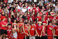 MNP_fb-fans_11