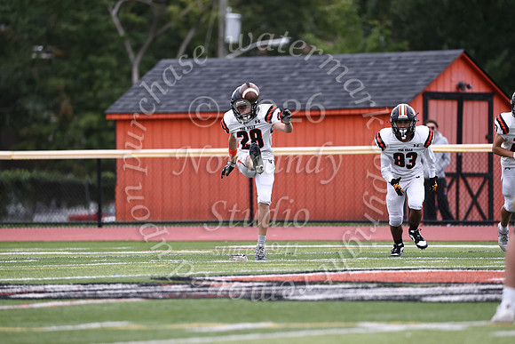 SVL_fb_jv-16