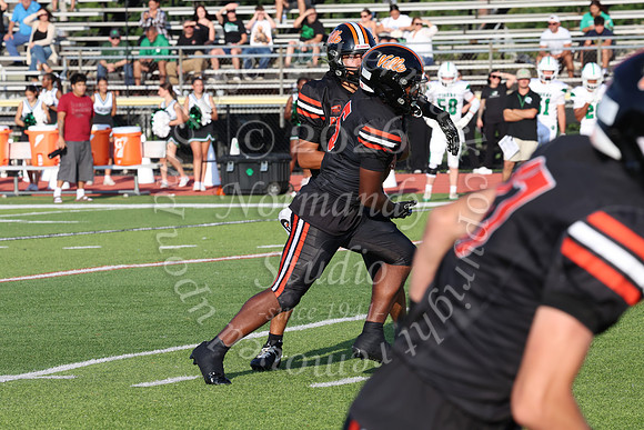 SVL_fb_025