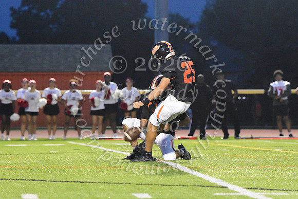 SVL_fb_48