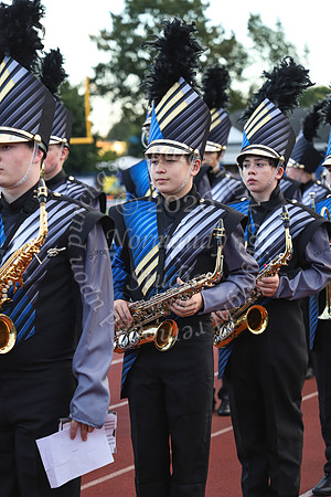 CHS_mb_12
