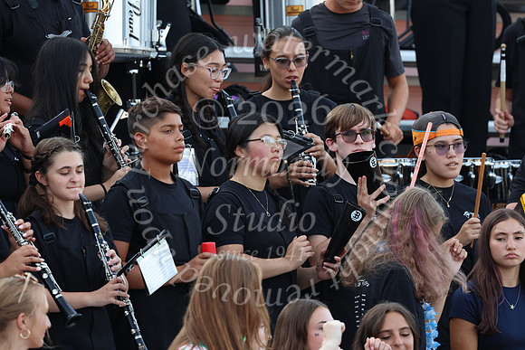 SVL_mb_in_stands_42