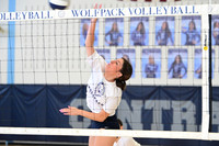 WMC_vb-g_12