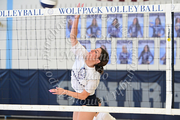 WMC_vb-g_12