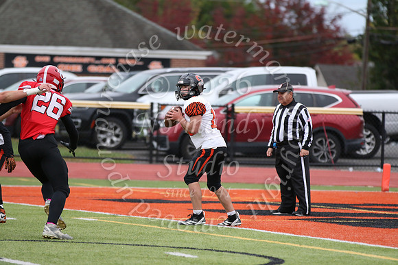 SVL_fb-f_21