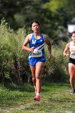 WHS_cc-g_12