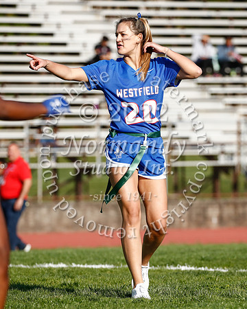 WHS_flag_fb_49