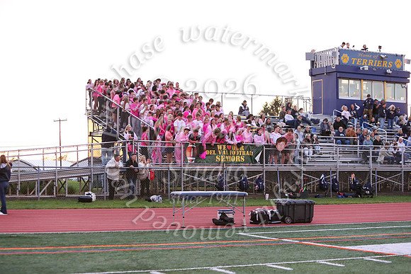 DVH_fans_44
