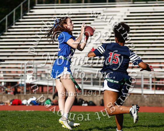 WHS_flag_fb_28