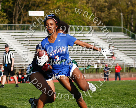 WHS_flag_fb_31