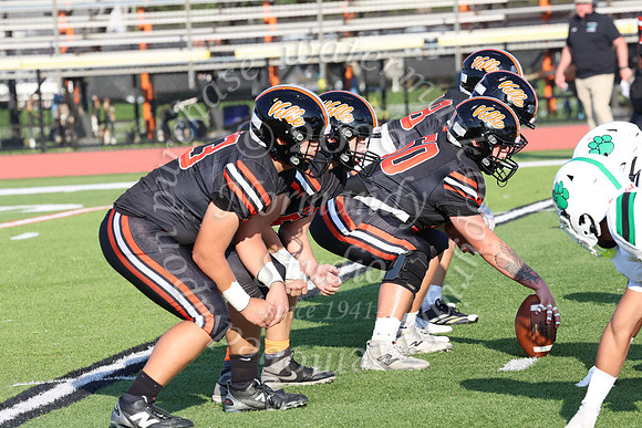 SVL_fb_012