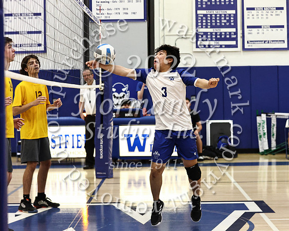 WHS_vb_b_j_19