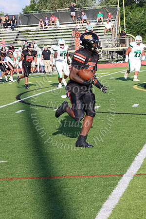 SVL_fb_030