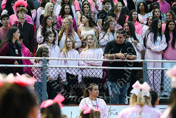 MAT_fb_fans_2_35