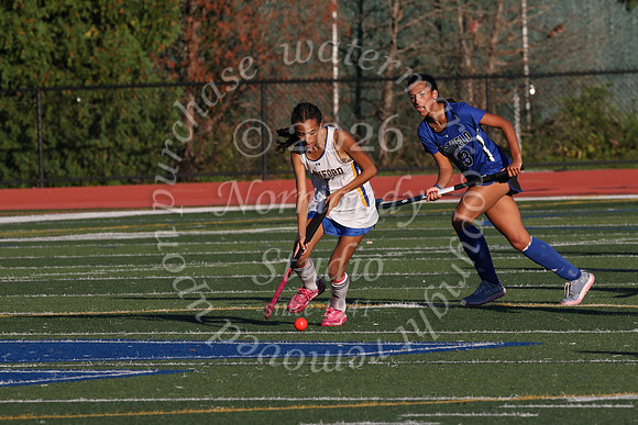 CHS_fh_20