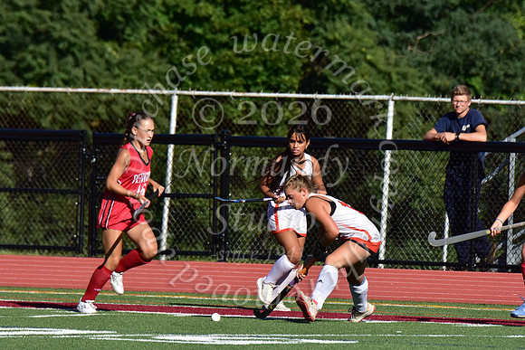 SVL_fh_44