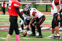 SVL_fb-f_01