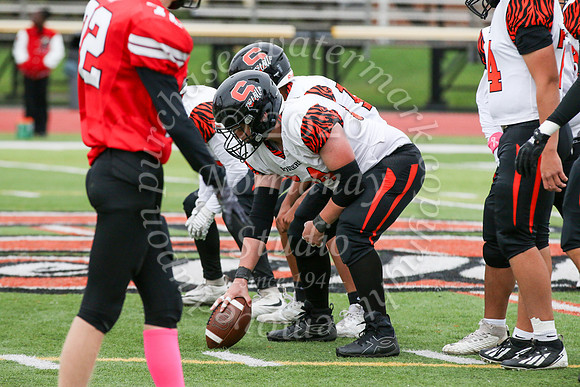 SVL_fb-f_01