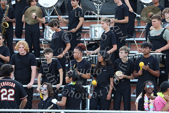 SVL_mb_in_stands_45