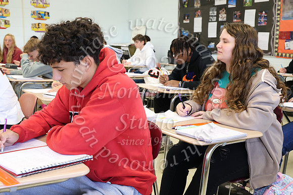 SVL_slc_039
