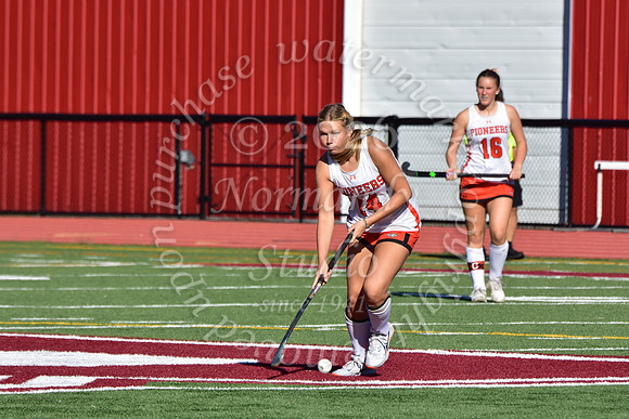 SVL_fh_45