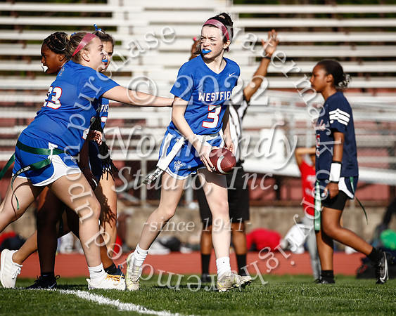 WHS_flag_fb_43