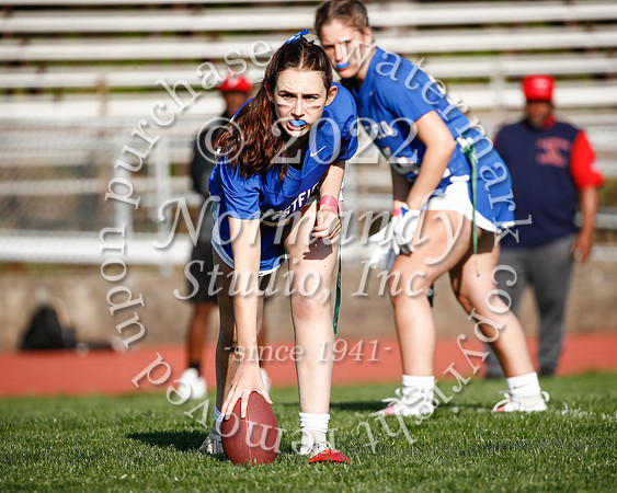 WHS_flag_fb_40