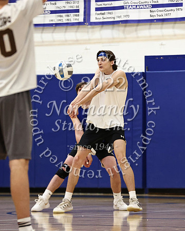 WHS_vb_b_v_20