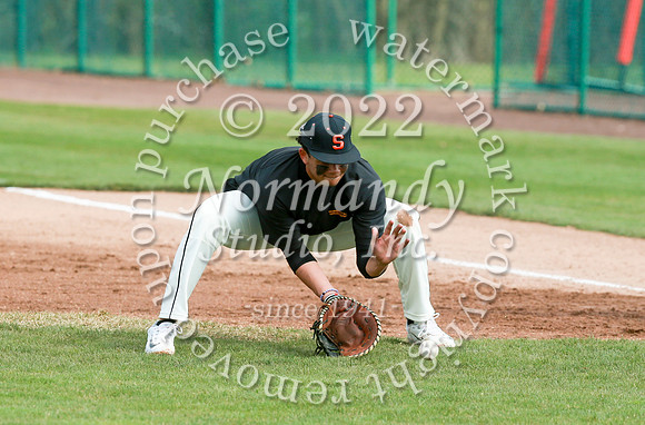 SVL_bb_25