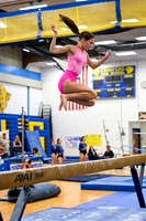 CHS_gy_15