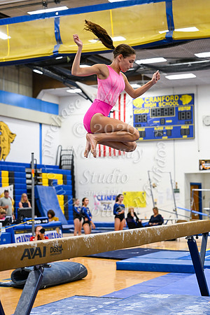 CHS_gy_15