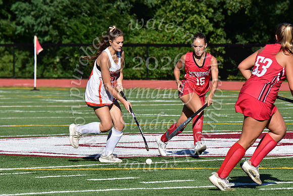 SVL_fh_58