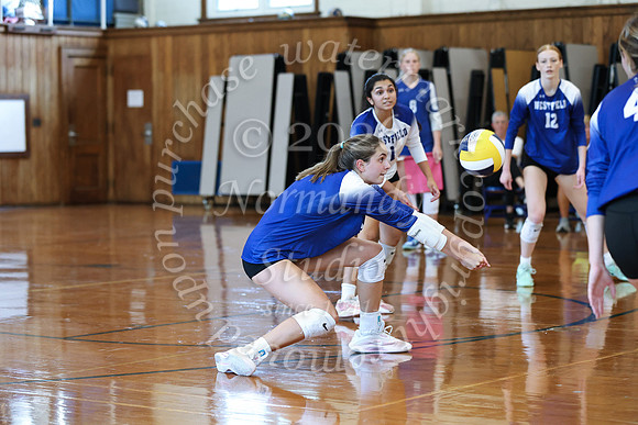 WHS_vb_g_-53