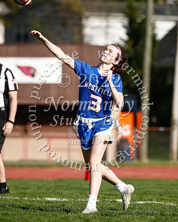 WHS_flag_fb_27