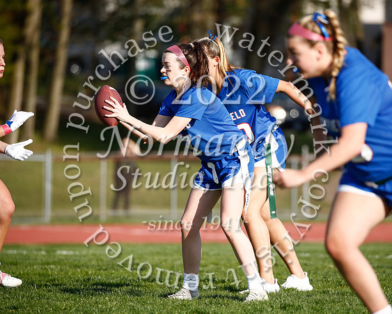 WHS_flag_fb_66