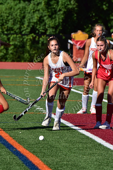 SVL_fh_33