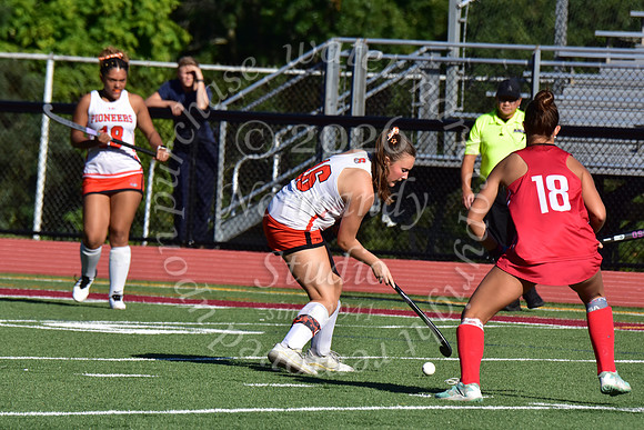 SVL_fh_40