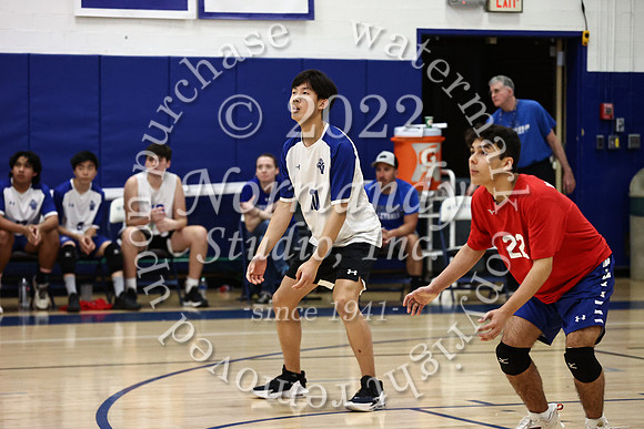WHS_vb_b_j_33