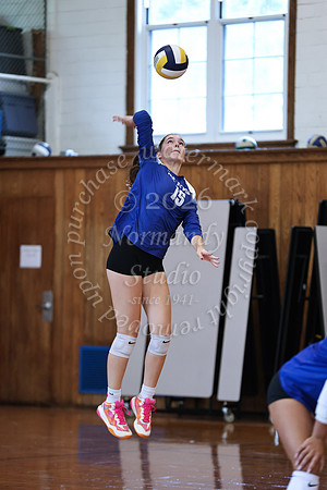 WHS_vb_g_-63