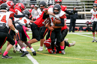 SVL_fb-f_09