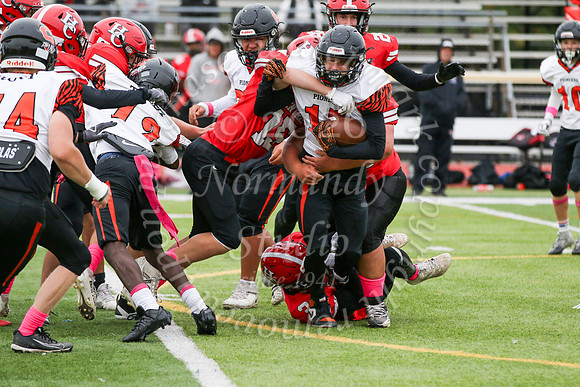 SVL_fb-f_09