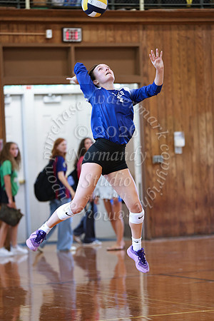 WHS_vb_g_-52
