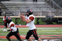 SVL_fb-f_16