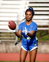 WHS_flag_fb_6
