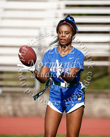 WHS_flag_fb_6