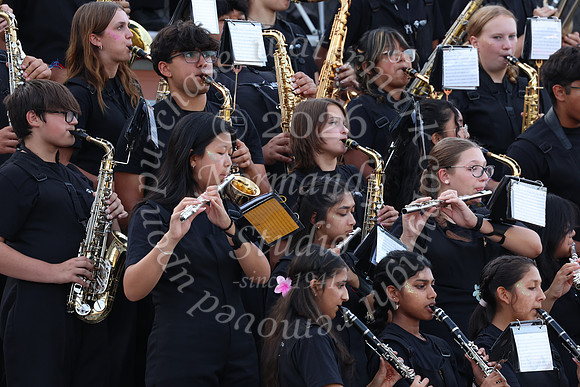 SVL_mb_in_stands_30
