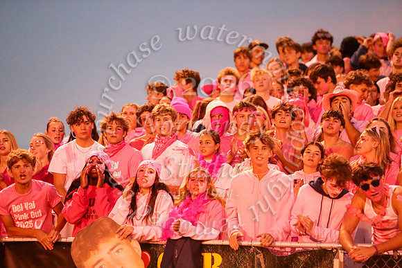 DVH_fans_22