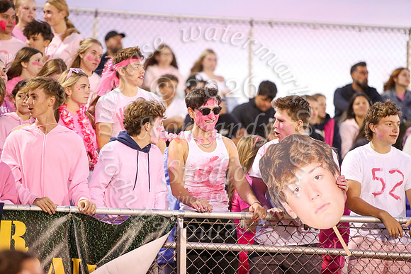 DVH_fans_20