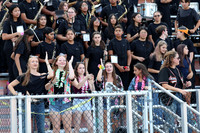 SVL_mb_in_stands_12