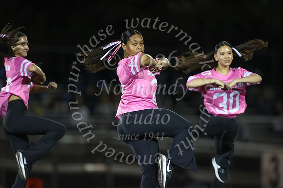 MAT_dt_2_19